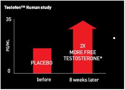 Picture reflext effeciancy statistics with use of testofen compared to non Testofen users. Show 100% increase in testosterone in users of testofen