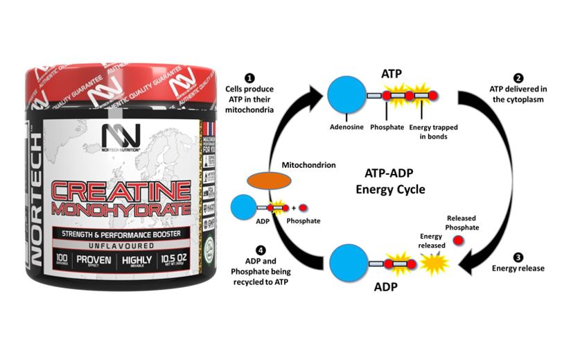 Shiny black Krea-Bolic bottle with vibrant, high-end Nortech Nutrition label accompanied with ATP-ADP Energy cycle chart