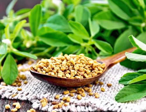 Fenugreek Extract A Natural Boost for Free Testosterone
