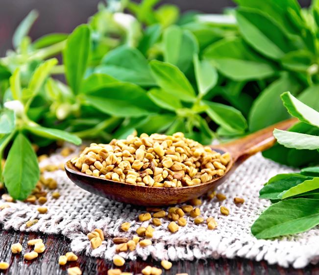 fenugreek extract picture of spoon with fenugreek and fenugreek leaves